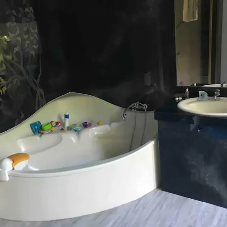 Maison De Charme Avec Piscine Chauffee *